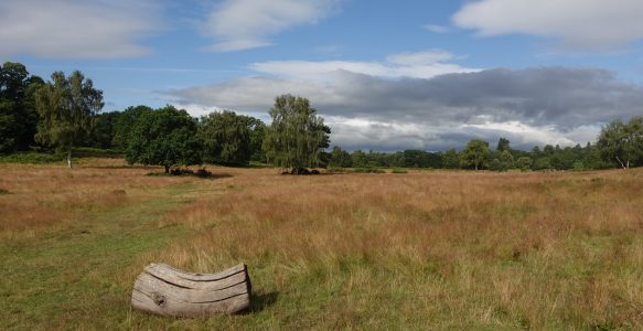 Clumber Park Walk