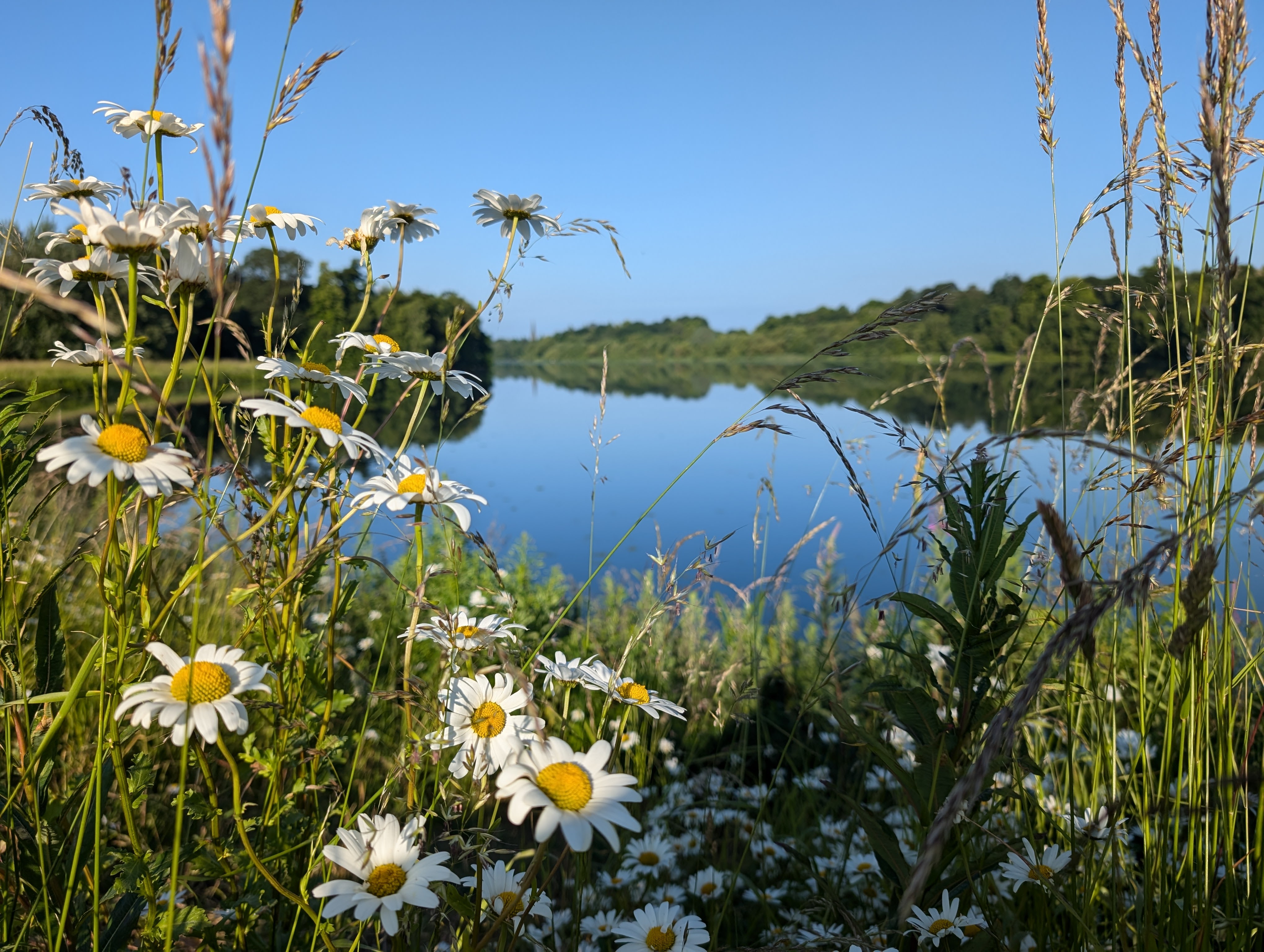 Clumber Park